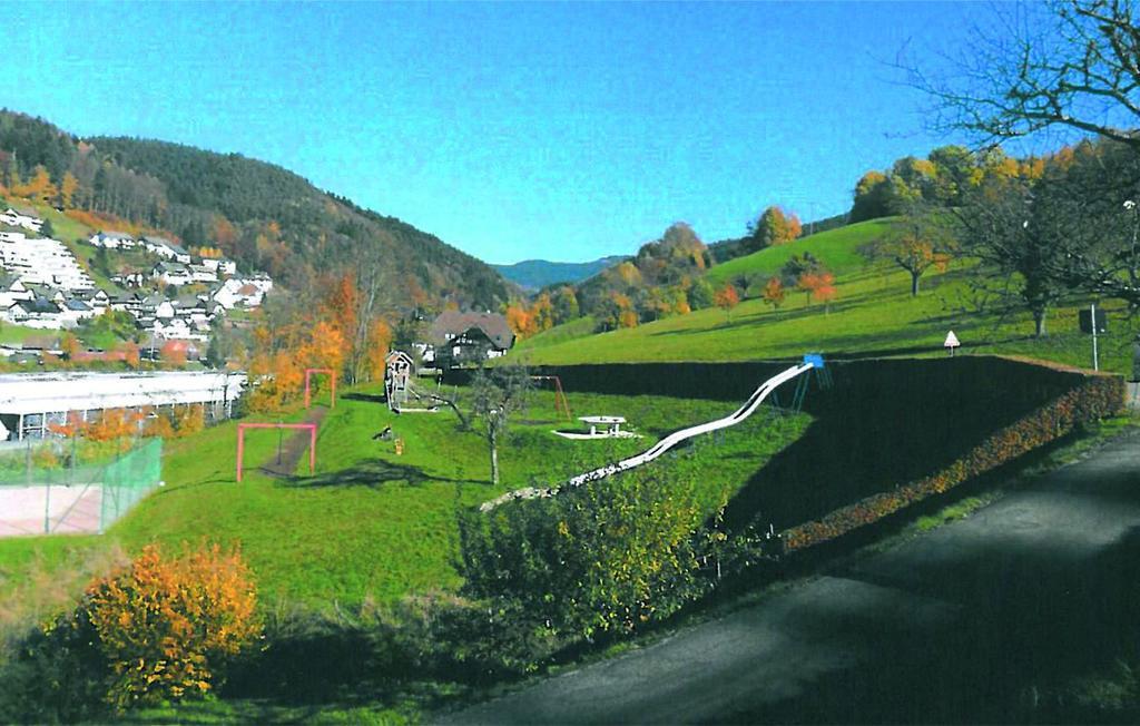 Ferienhotel Faisst Bad Peterstal-Griesbach Esterno foto
